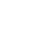 Division Toyota